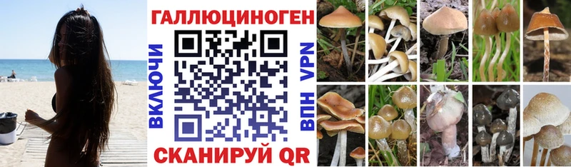 Псилоцибиновые грибы Psilocybine cubensis Меленки